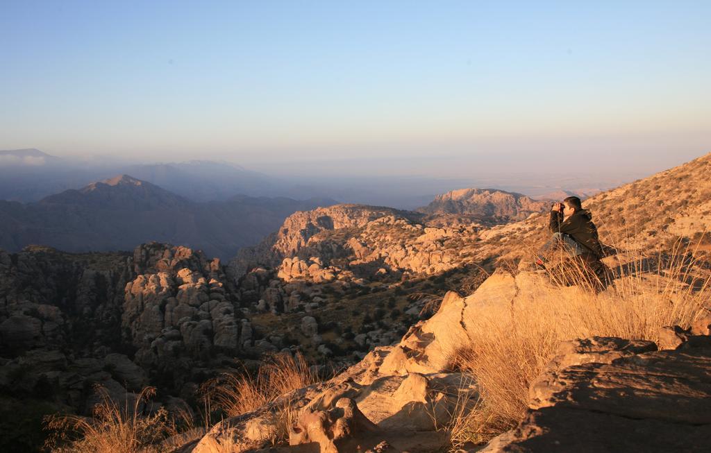 דנה Rummana Campsite מראה חיצוני תמונה