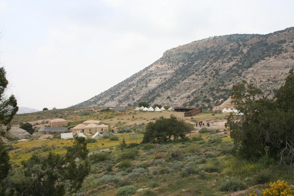 מלון דנה Rummana Campsite מראה חיצוני תמונה