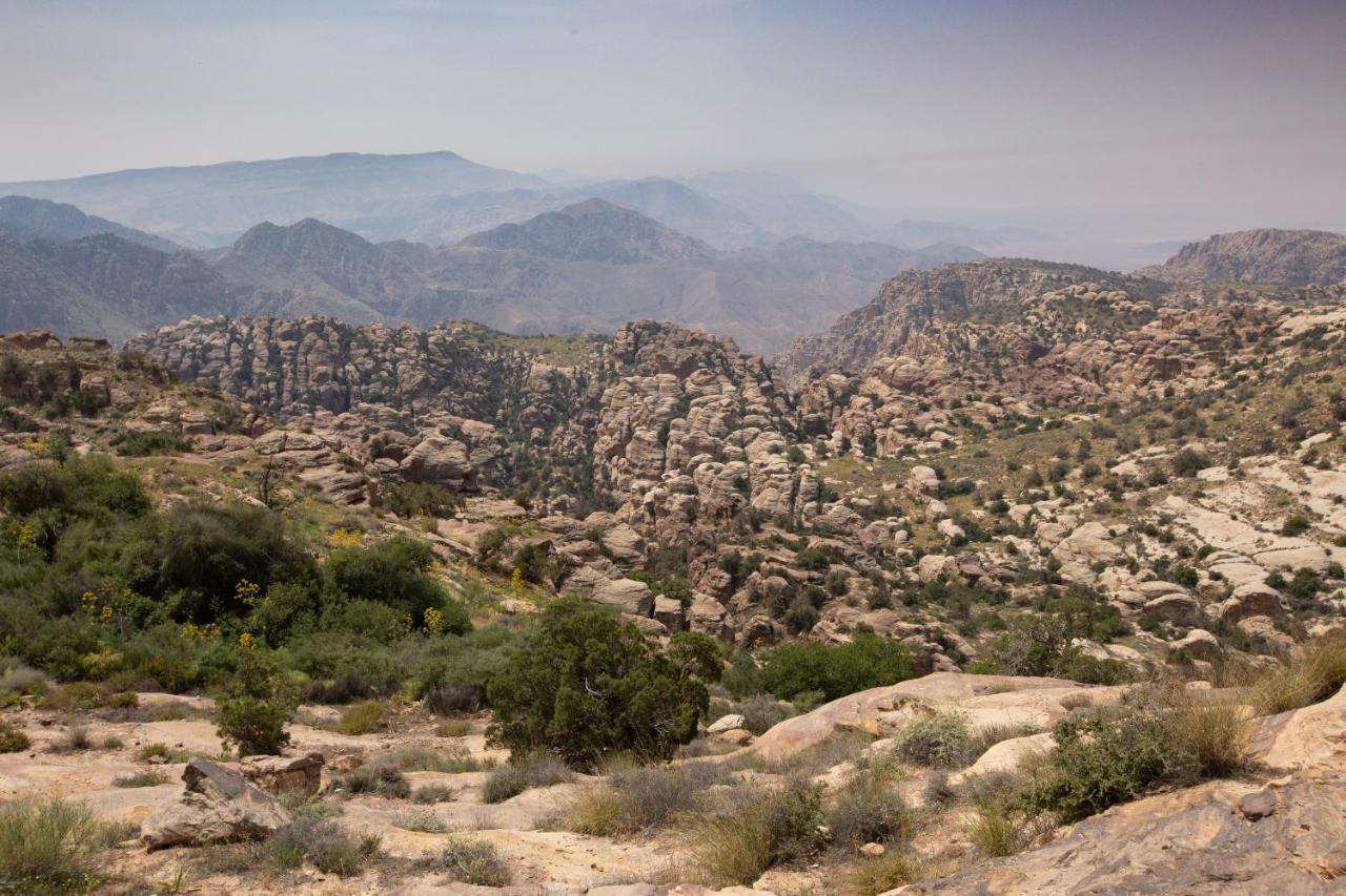 דנה Rummana Campsite מראה חיצוני תמונה